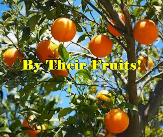 By Their Fruits