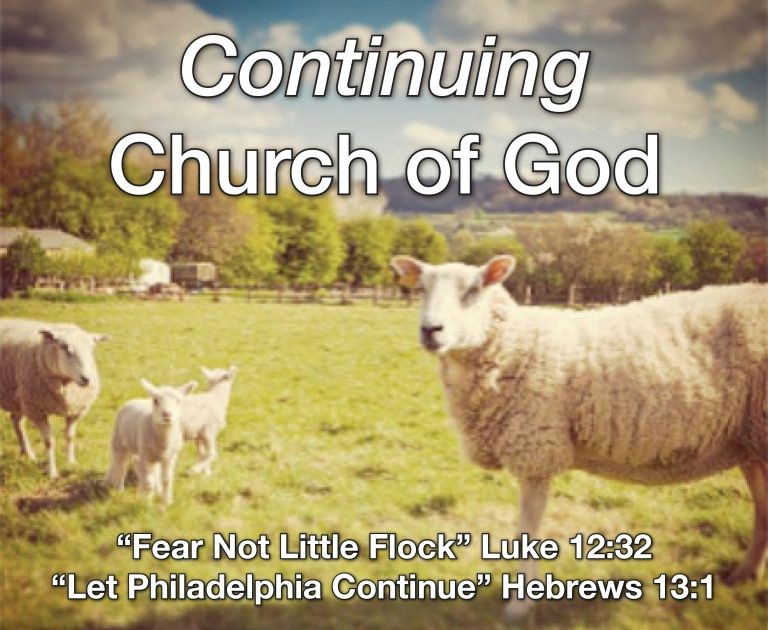 Continuing Church of God Logo showing a group of sheep and lambs grazing in a grass meadow beneath a sunny sky. The logo includes verses from Luke 12:32 and Hebrews 13:1